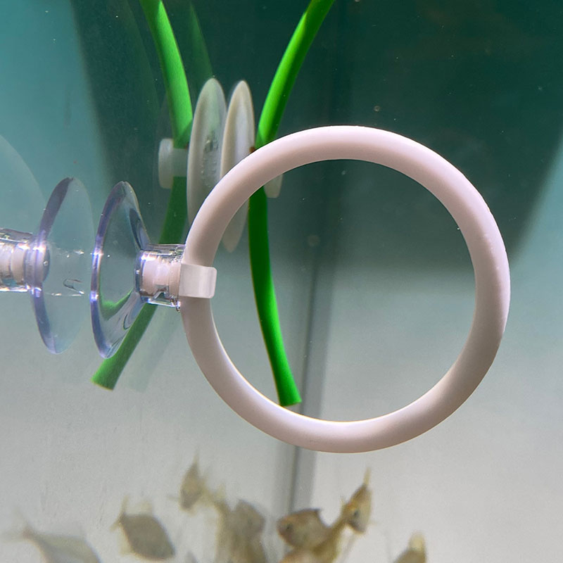 1 Stück Kunststoff-Aquarium-Tr – Gymnastic Ring Bewertung und Preis